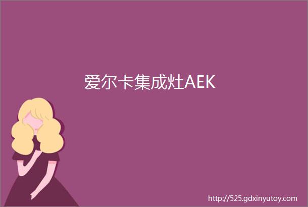 爱尔卡集成灶AEK