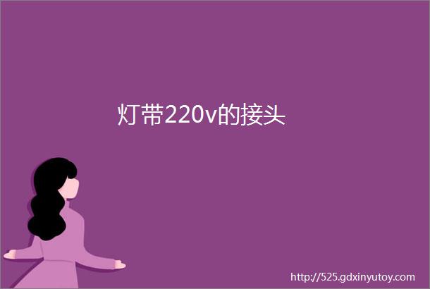 灯带220v的接头