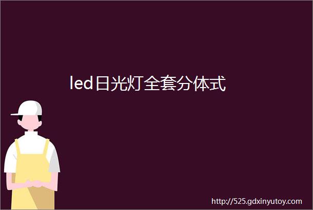 led日光灯全套分体式