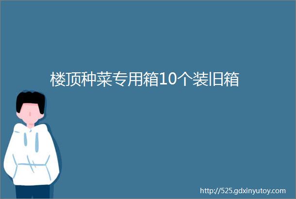 楼顶种菜专用箱10个装旧箱